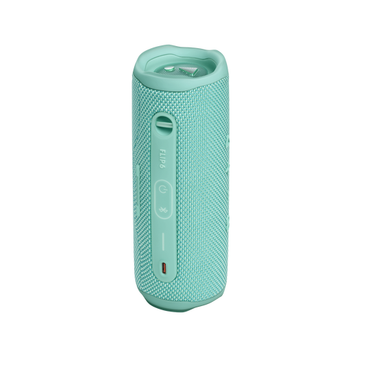 JBL Flip 6