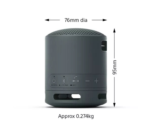 SONY SRS-XB100 Portable Bluetooth Speaker - Black